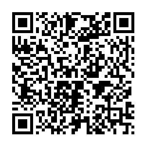 而此刻的苏落还不知道她算计的那位少城主在这群人心中是何等的地位二维码生成