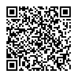 而此刻跟着龙王等人一起出机场的人看着眼前的欢迎阵势顿时也是吓了一大跳二维码生成