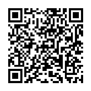 而此次凌蘭他们此次任务需要用的机甲就藏在其中二维码生成