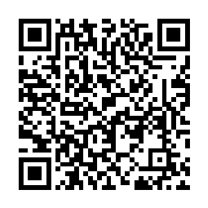 而比她整个身体还大的庞大战锤已经狠很的撞到我的面前二维码生成