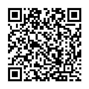 而池枫一家和王舟山一家一直保持着比较密切的往来二维码生成