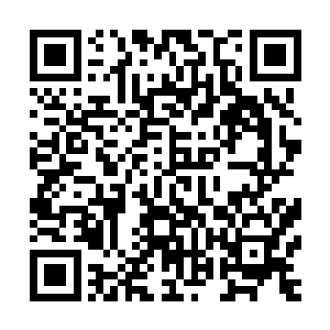 而沙罗獭三兄弟围观的则是一名疑似专门炼过体的修仙者壮汉二维码生成