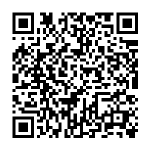 而没有动手的三只血妖姬和被流墨墨喊住的易红仙人看着在阵法内厮杀的局面二维码生成