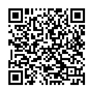 而流墨墨与三个月前没啥差别的淡定脸虽然也有些无语二维码生成