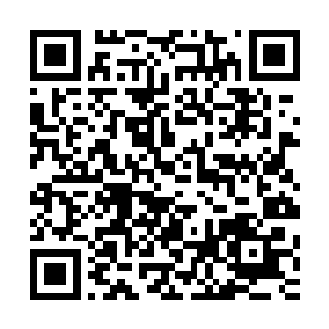 而海族皇族所在宫殿和一些庞大府邸则除了各种海兽贝壳之外二维码生成