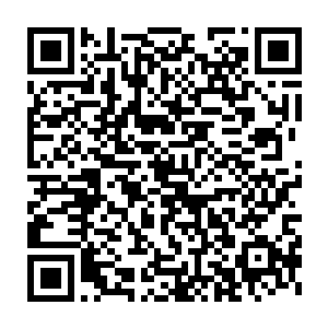 而猊少爷你父亲当年也是在中段收服了那条我们亚木城如今的护族神兽二维码生成