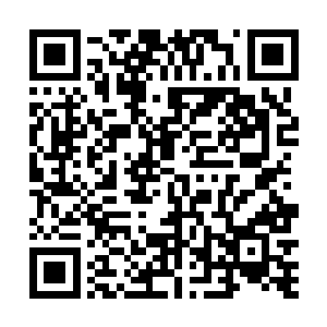 而王朗和王越两人又分别负责内务以及外勤方面的管理二维码生成