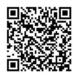 而王璞只不过是起到了一个推波助澜的作用罢了二维码生成