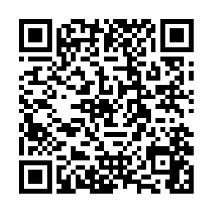 而王苏晴总是能够在问题出现的第一时刻就回答出来二维码生成