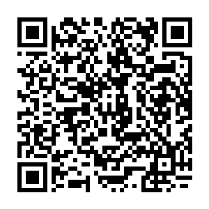 而现在古丽莎整理出来的就是这个古堡已经从早期的简单账房式收货卖钱功能二维码生成