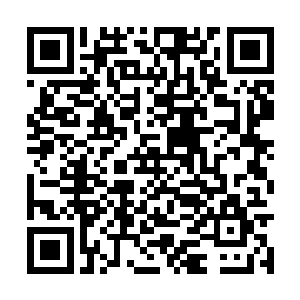 而现在秦宗师和那位女子已经是得到了二等机缘了二维码生成