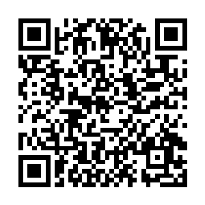 而琼恩又何尝不是盼着能把这宝贵的经历再讲一遍呢二维码生成