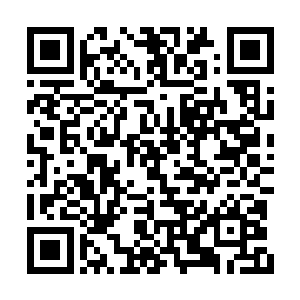 而盘旋在半空当中的巨大蜘蛛被撞飞出一段距离二维码生成