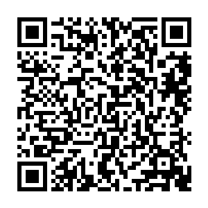 而目前的IFO依旧好像一部开足了马力的印钞机那样为我们赚取着源源不断的财富二维码生成