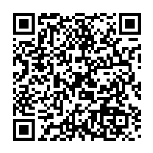 而看着只是沾到了水生植物们身上带着的水汽就这样的寒焰生命们二维码生成