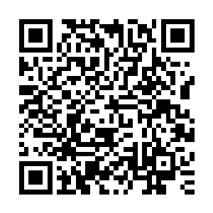 而看着暴怒的姜阳勋和那一脸淡漠的女侍竟是打了个旗鼓相当二维码生成