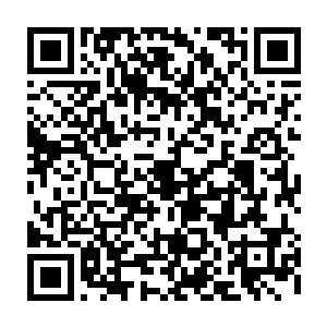 而眼下情形和上次不一样了…因为他们身上都散发着浓烈的生命元气气息二维码生成