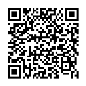 而眼前的天星密境的大能洞府从上古时期至今从未被发现二维码生成