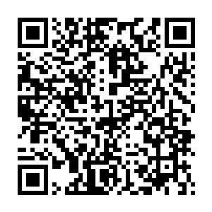 而眼前这一身青衣清丽婉约光华微露的美丽女子便是这皇城今后的主人二维码生成