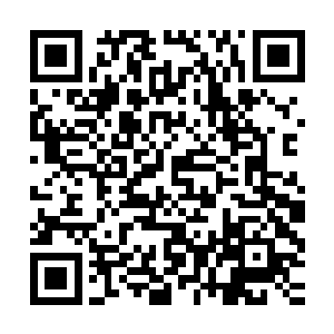 而神葬修罗气则是专属于神葬修罗才可以修炼的的恐怖力量……二维码生成