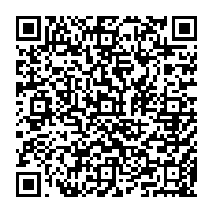 而秦方早已经将四象乾坤鼎放在那里等候着了……这些毒血几乎全部都落入了四象乾坤鼎之中了二维码生成