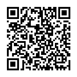 而程白泽则更习惯用表情和语言告诉你他的喜怒哀乐二维码生成