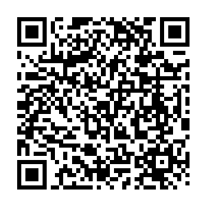 而站在这里他也终于知道为何那古籍中会说登上十五个石阶便算是登顶了二维码生成