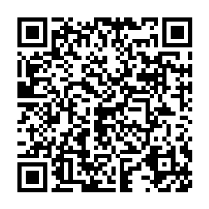 而紫色的巨手则直接去势不减的狠狠的朝着蓝袍老者的身上拍了过去二维码生成