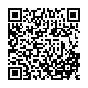 而纸袋里那庞大的南瓜更是轻而易举就吸引了人们的大部分视线二维码生成