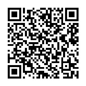 而脱手的炼虚境界修士又去帮助其他的炼虚境界修士二维码生成