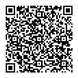 而自己却在这时候把救人的人给打晕过去的话……那么现在手术台上的这个患者会不会也跟着遭殃啊二维码生成