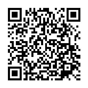 而良小伞上一波团打完后回家却仅仅只出到了一个暴击拳套而已二维码生成