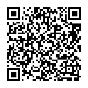 而苏军却集中了飞机到莫斯科战区和北方靠近霍去病省和北海省的三角地区二维码生成