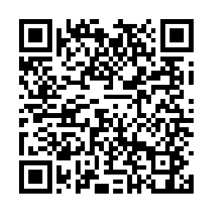 而苏凡瞬间出现在刚刚中年男人的位置揉了揉手腕二维码生成