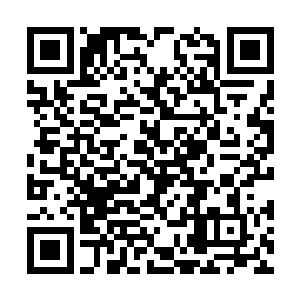 而苏落此刻……就躺在碧羽仙藤那巨大的青藤里面二维码生成