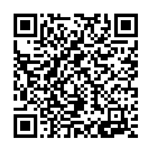 而苟治良却把自己推到了开发区管委会主任这个实打实的肥缺上二维码生成