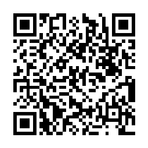 而蒋四娘似乎没有注意到手掌上的重瞳已经没有了二维码生成