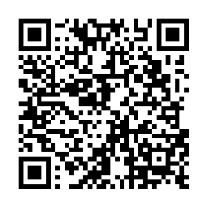 而被他们讨论的金在珉此刻已经回到了别墅的家里二维码生成