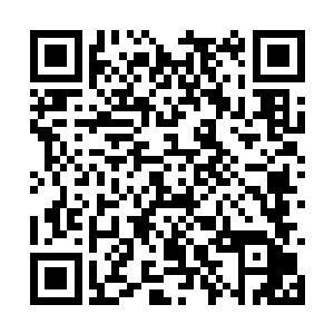 而被墨景黎厌弃和冷落的她却是连碰也碰不到一丝二维码生成