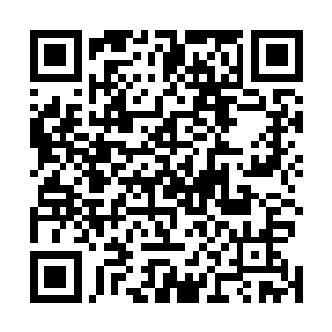 而被恶念感染的楚旬等人只怕已经没有自我恢复的可能了二维码生成