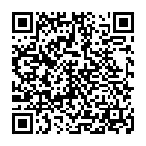 而让贝海想不到的是一到了拉斯维加斯黎未未就一扫坐飞机时候的无精打采二维码生成