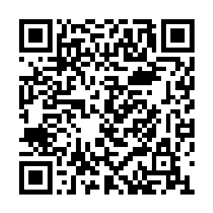 而跟她一起组团在血雾森林里狩猎的师兄师姐们二维码生成