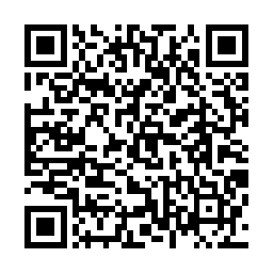 而这一枚邪帝舍利却是有这样一位修为的强者毕生修为所化二维码生成
