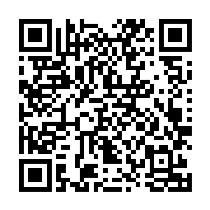 而这个世界新成型的我们又联手制定了这个世界的规则二维码生成