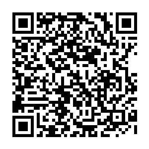而这些血液就是沿着这些纹路在流动着……只因为甬道中光线太过于暗淡了二维码生成