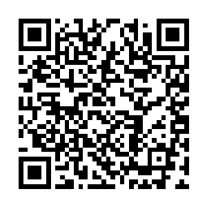 而这些食物也是他请了世界顶级的专业厨师料理的二维码生成