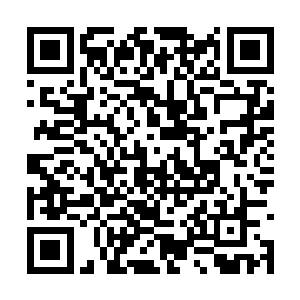 而这延寿美颜丸他打算就以漆叶青粘散的名义拍卖二维码生成