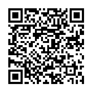 而这方宗林当初在天南宗也算是天才级别的弟子了二维码生成