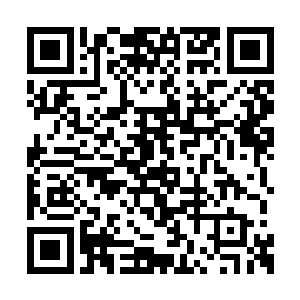 而这时一股庞大的气息从某一处海域释放了出来二维码生成