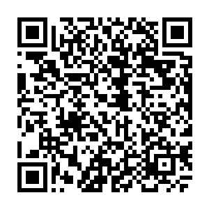 而这时杨晨已经开始施展出滚滚魂力化为一团蓝色的的火焰冲噬血虫而去了二维码生成